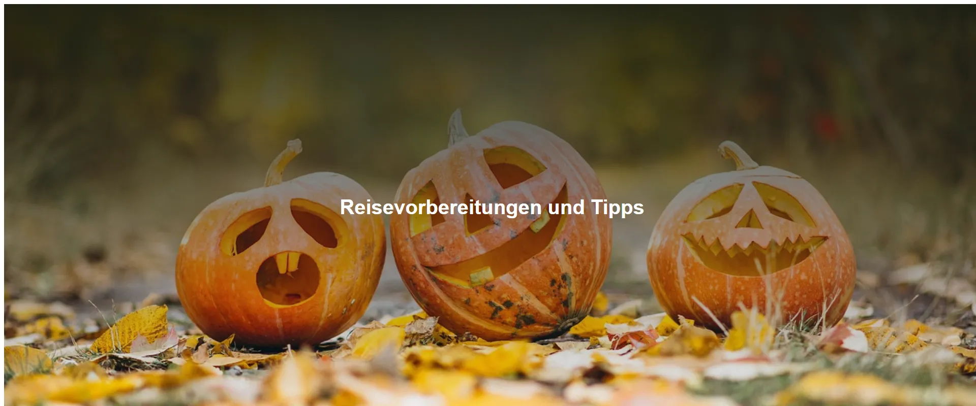 Reisevorbereitungen und Tipps